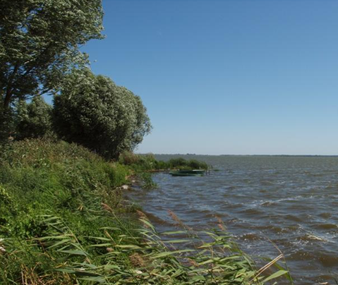 В Ярославской области спасают озеро Неро